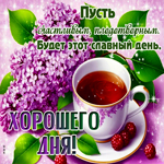 Postcard позитивная гиф-открытка, плодотворного дня