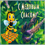 Открытка праздничная открытка медовый спас