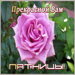 Картинка прекрасная картинка с пятницей