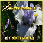 Открытка прекрасная картинка с вторником