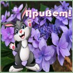 Postcard прекрасная открытка привет с сиреневыми цветами