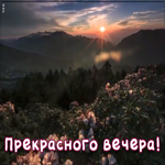 Открытка прекрасного вечера искренне желаю