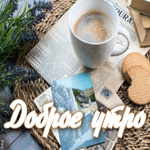 Картинка прикольная картинка с добрым утром
