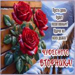 Postcard приятная картинка, доброго и тёплого вторника