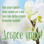 Картинка пусть это доброе утро подарит настроение
