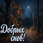 Picture пусть ночь подарит глубокий отдых, спокойные мысли и приятное пробуждение утром