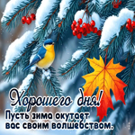Picture пусть зима окутает вас своим волшебством