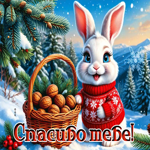 Postcard радостная открытка, спасибо за твою поддержку