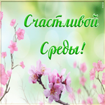 Открытка счастливой среды