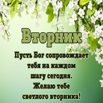 Picture симпатичная открытка со светлым вторником