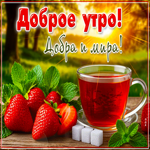 Postcard сияющая гиф-открытка, доброе утро, мира и добра