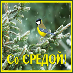 Picture снежная картинка со средой с синичкой