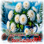 Postcard снежная трогательная гифка хороших вам выходных
