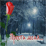 Picture снежная волнующая гиф-открытка прости меня