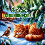 Picture снежная яркая гифка желаю волшебных снов
