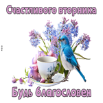 Picture солнечная открытка, вторник будь благословен