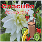 Postcard спасибо большое