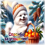 Postcard спасибо за угощение