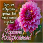 Picture спокойная гиф-открытка, хорошего воскресенья