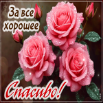 Postcard светлая открытка, с искренней благодарностью