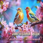 Picture теплосолнечная гиф-открытка, замечательной среды