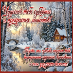 Picture твоя неповторимая элегантность украшает этот мир лучше любых зимних пейзажей!