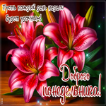 Picture тёплая открытка, доброго понедельника
