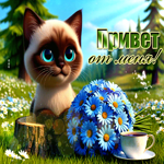 Picture удивительная гиф-открытка, привет от меня