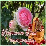 Picture удивительная картинка хорошего вам настроения