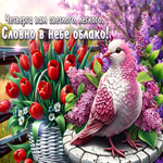 Postcard утончённая гиф-открытка, четверга вам светлого