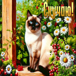 Picture вдохновляющая гиф-открытка, скучаю безумно