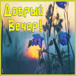 Открытка великолепная картинка добрый вечер