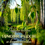 Picture весёлейшая гиф-открытка, доброго вечера, гармонии и радости
