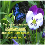 Картинка видео открытка с понедельником