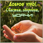 Открытка волшебная открытка доброе утро