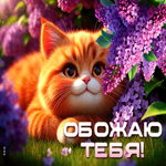 Postcard воодушевляющая гиф-открытка, обожаю тебя