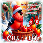 Picture вы сделали мой день лучше