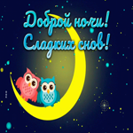 Picture яркая гиф-открытка с совушками, спокойной ночи