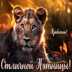 Postcard яркая и стильная открытка приветик! отличной пятницы!