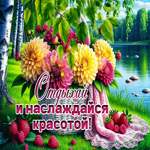Picture забавная гиф-открытка, отдыхай и наслаждайся красотой