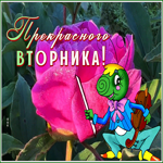 Postcard забавная открытка прекрасного вторника с кузнечиком
