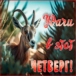 Postcard забавная открытка удачи в этот четверг!
