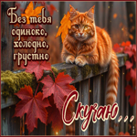 Postcard жаркая гиф-открытка, без тебя одиноко и холодно