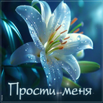 Picture завораживающая гиф-открытка прости меня
