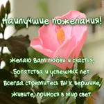 Открытка желаю вам любви и счастья