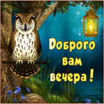 Открытка живая открытка добрый вечер