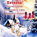 Postcard живая гиф-открытка, насыщенной и яркой пятницы