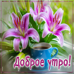 Postcard жизнерадостная гиф-открытка, доброго и милого утра