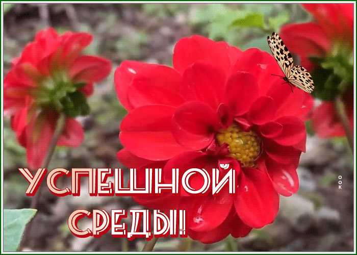 Postcard 1
