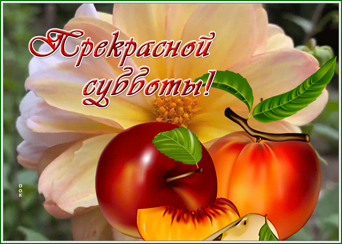 Postcard 1